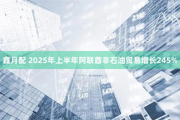 鑫月配 2025年上半年阿联酋非石油贸易增长245%