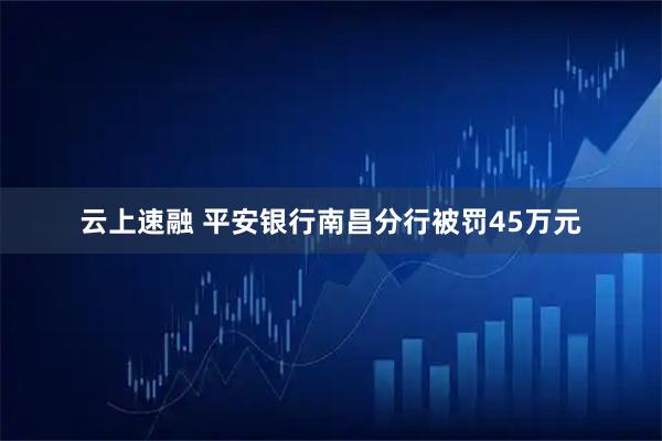 云上速融 平安银行南昌分行被罚45万元