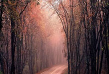 配资炒股论坛:股票怎样配资-豪赌在即？日本首相石破茂9月面临“罢免危机”